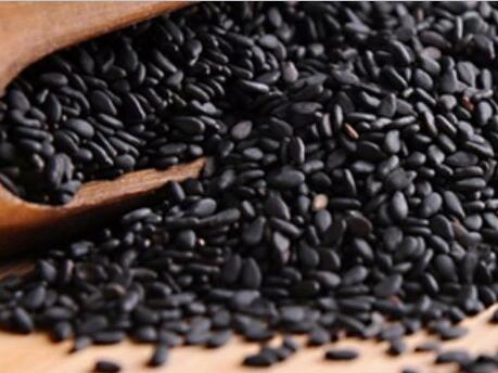 在家也能做的美發(fā)沙龍！