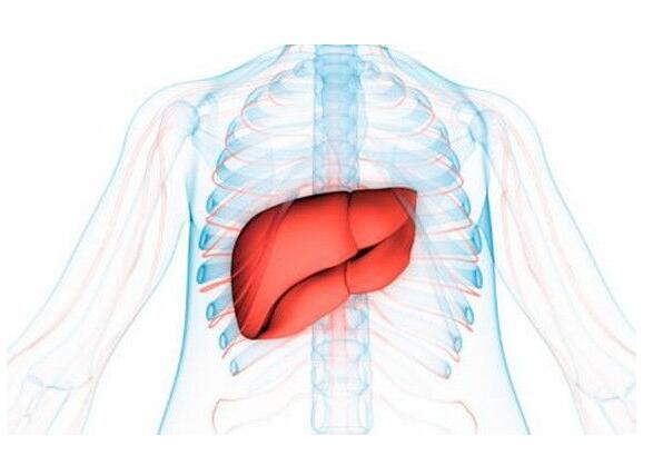廣西養(yǎng)生美容學校：秋季如何養(yǎng)