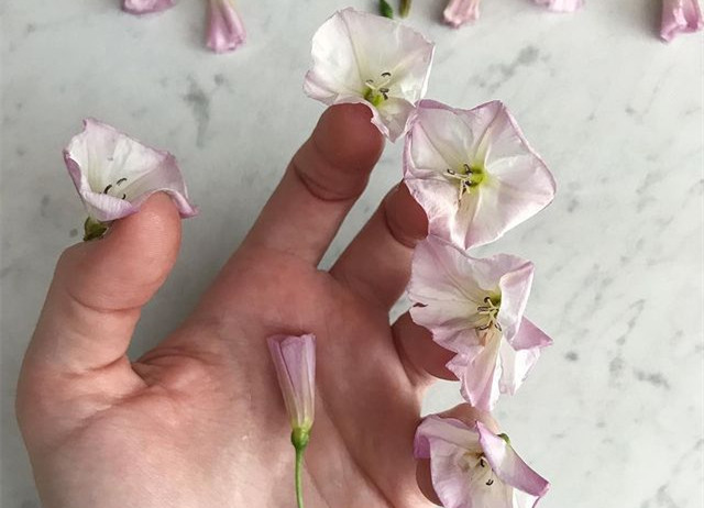 植物藝術(shù)美甲，南寧美甲造型設(shè)計培訓分享