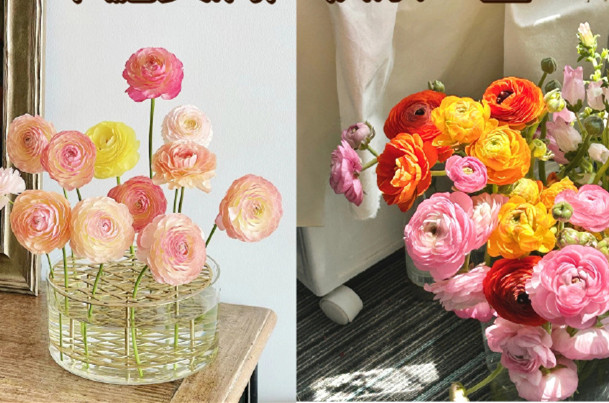 小眾但花語很美的花卉，南寧鮮花知識(shí)培訓(xùn)