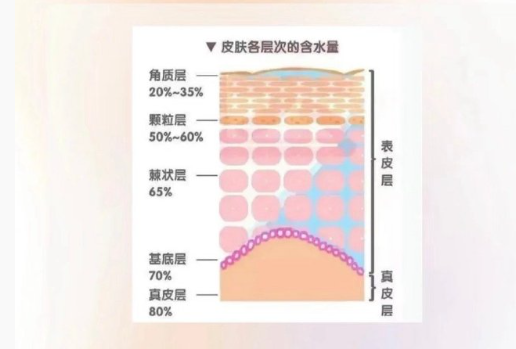皮膚越補水越干？廣西美容護(hù)膚中心分析原因